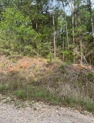 Lot 345 Wainee Drive Bastrop TX 78602