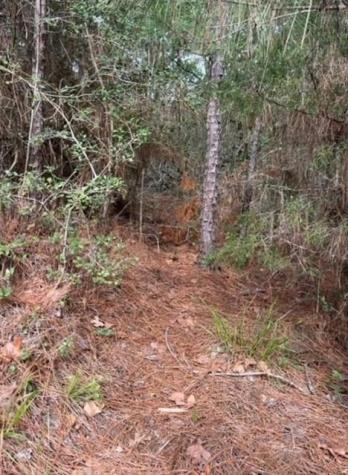 Lot 345 Wainee Drive Bastrop TX 78602