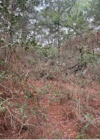 Lot 345 Wainee Drive Bastrop TX 78602