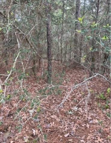 Lot 345 Wainee Drive Bastrop TX 78602