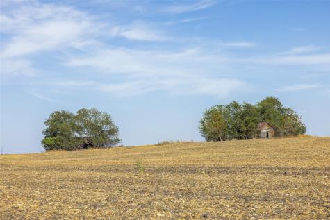 52.27 Acres County Road 301 Granger TX 76530