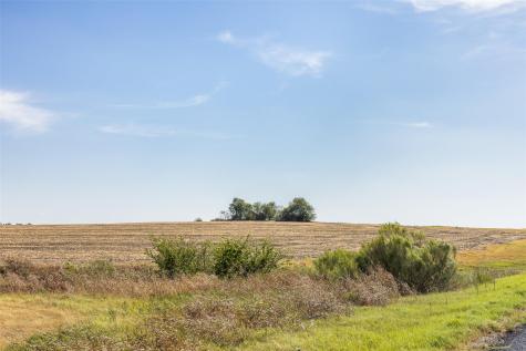 52.27 Acres County Road 301 Granger TX 76530