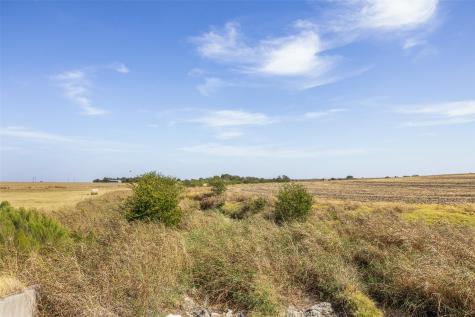 52.27 Acres County Road 301 Granger TX 76530