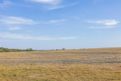 52.27 Acres County Road 301 Granger TX 76530