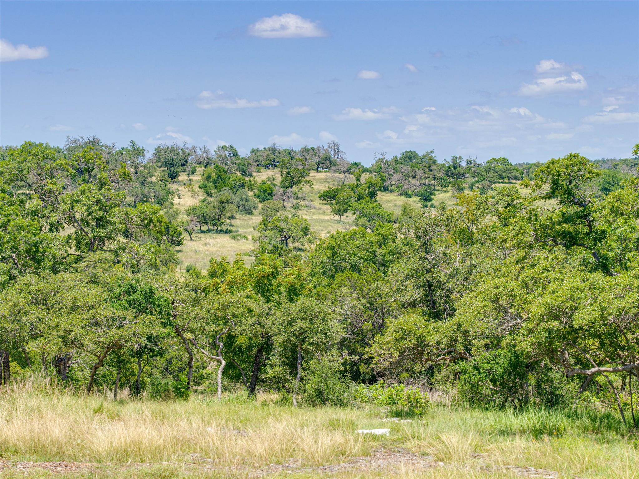 Lot 18 Cielo Vista Court Fredericksburg TX 78624