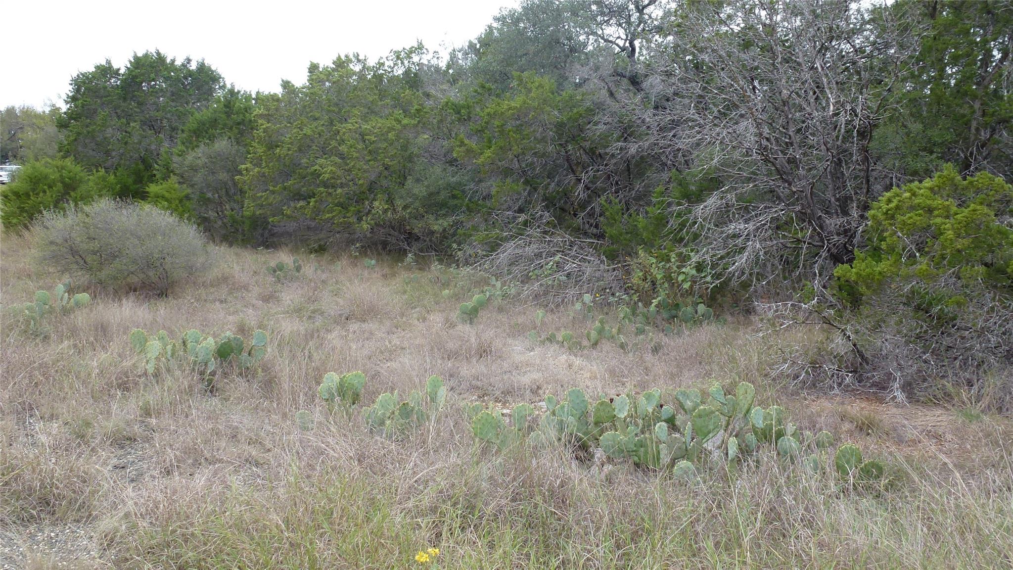 K12034 Stampede Street Horseshoe Bay TX 78657