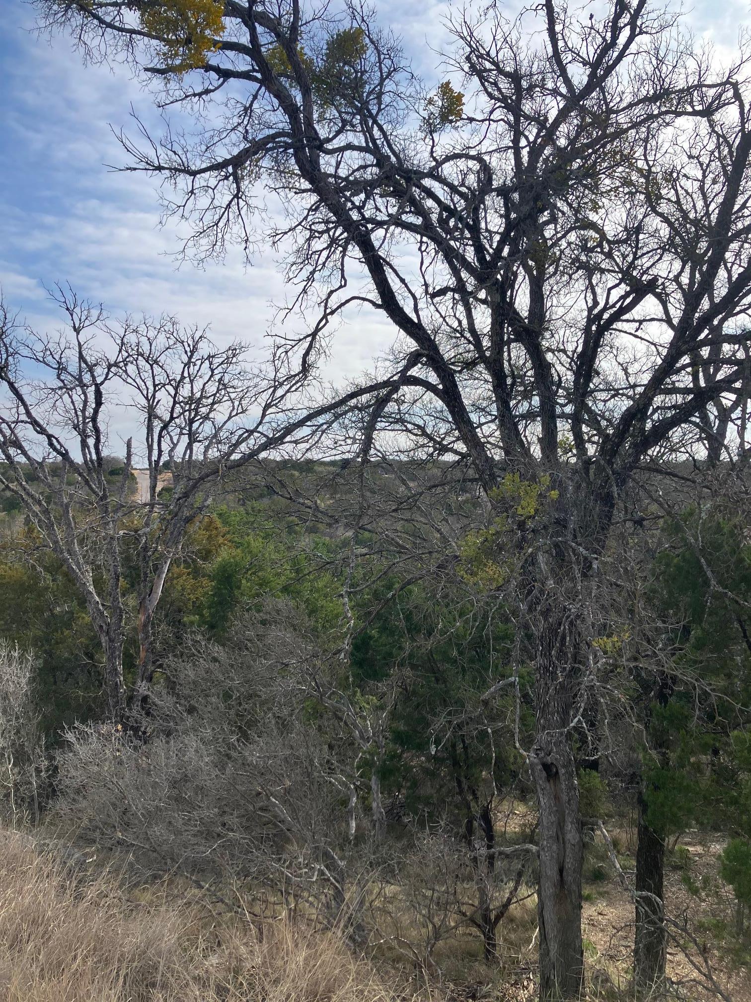 27125 Hi Mesa Horseshoe Bay TX 78657