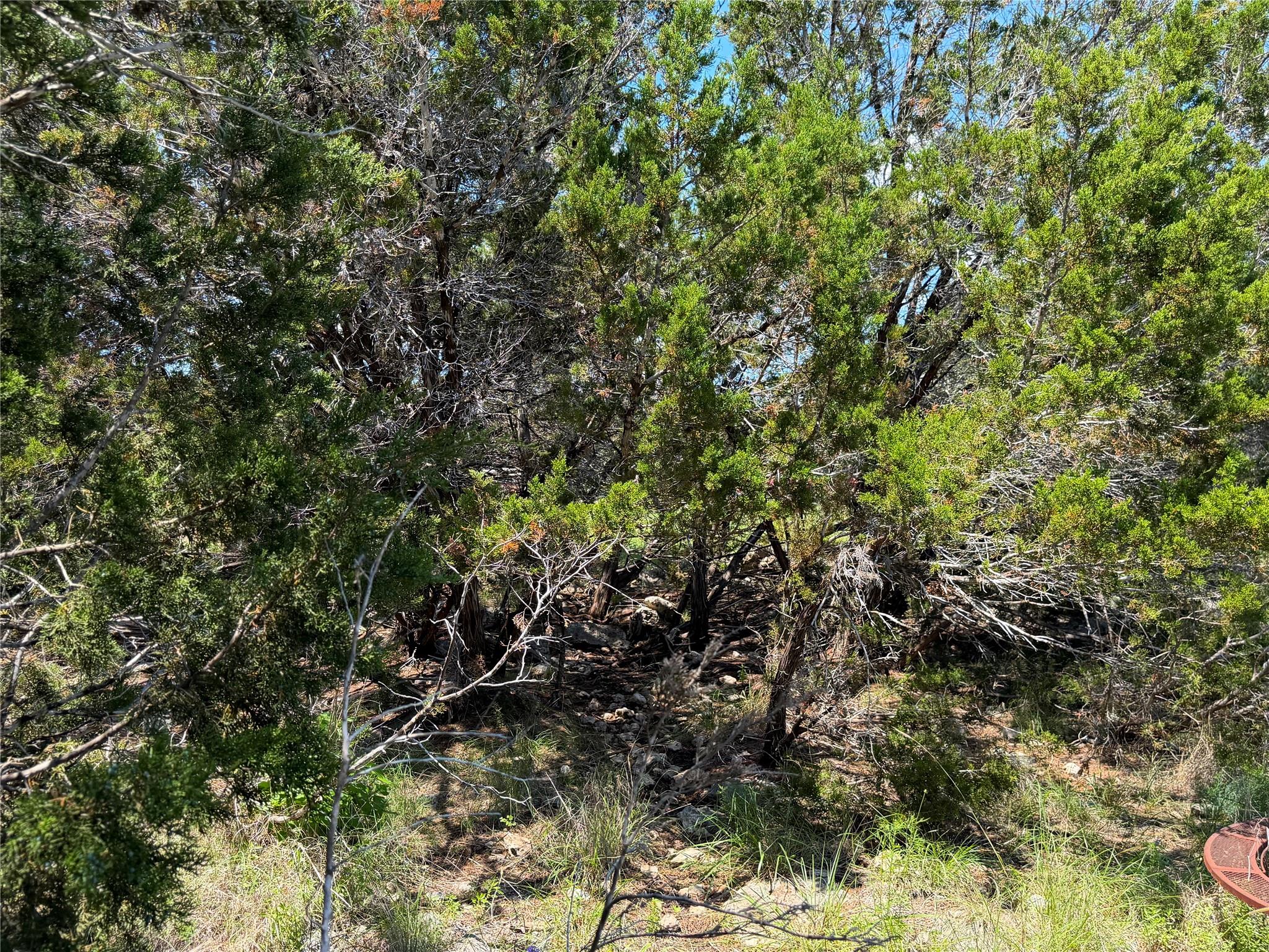 560 Hummingbird Hill Canyon Lake TX 78133