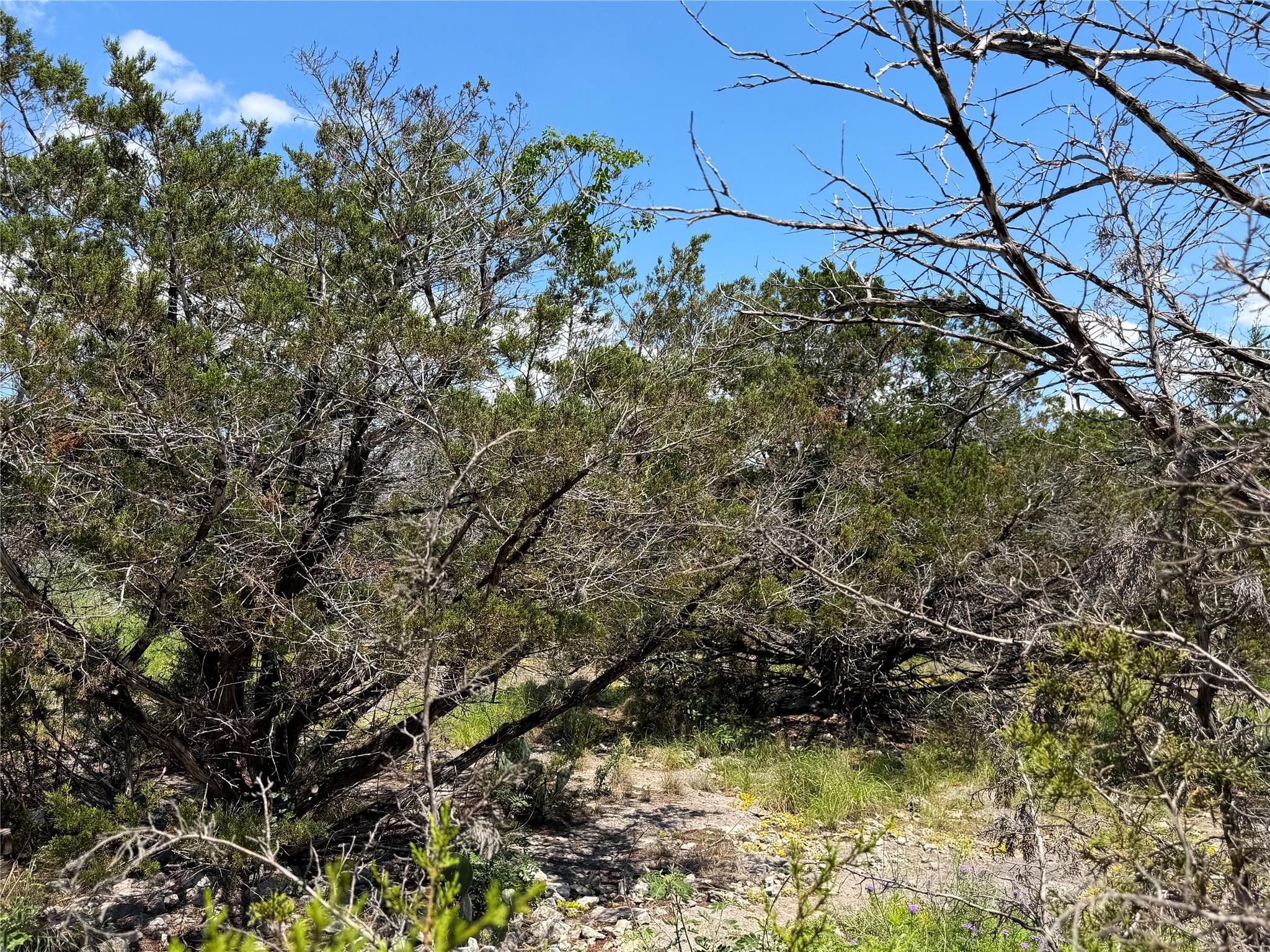 560 Hummingbird Hill Canyon Lake TX 78133