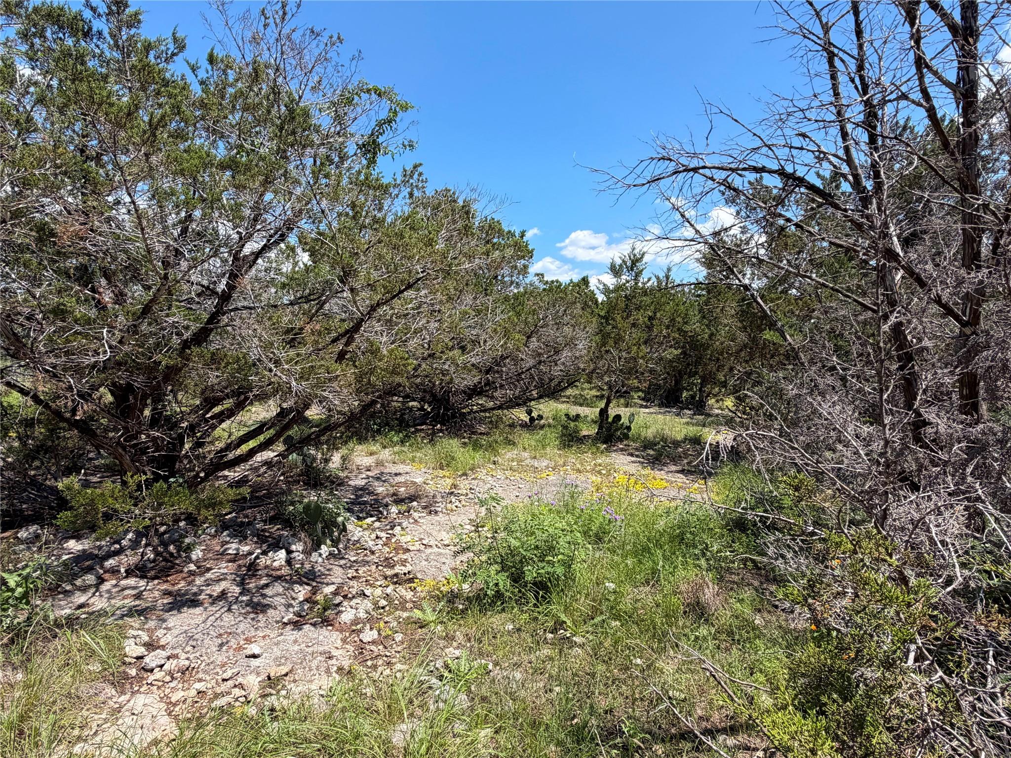 560 Hummingbird Hill Canyon Lake TX 78133