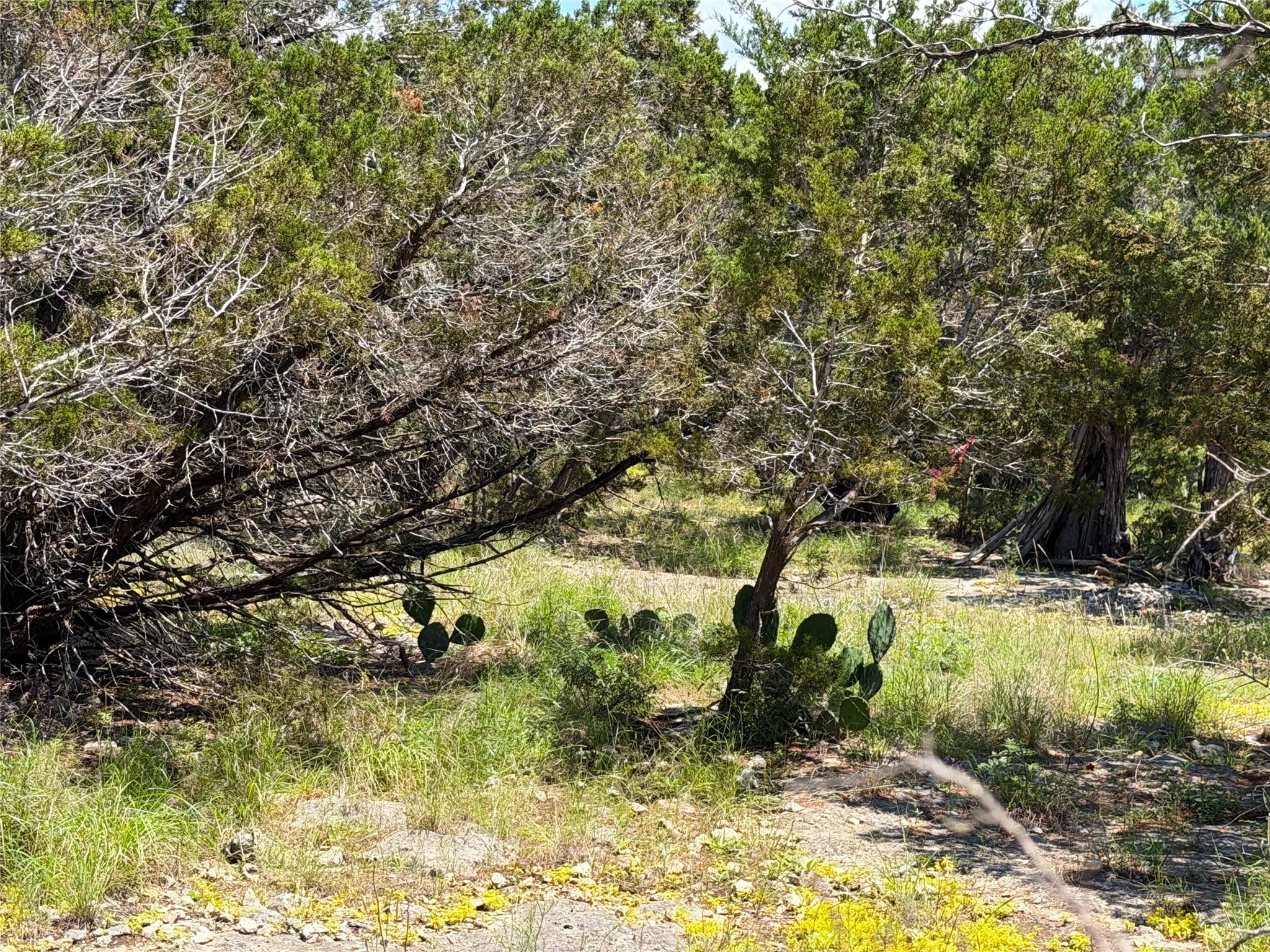 560 Hummingbird Hill Canyon Lake TX 78133