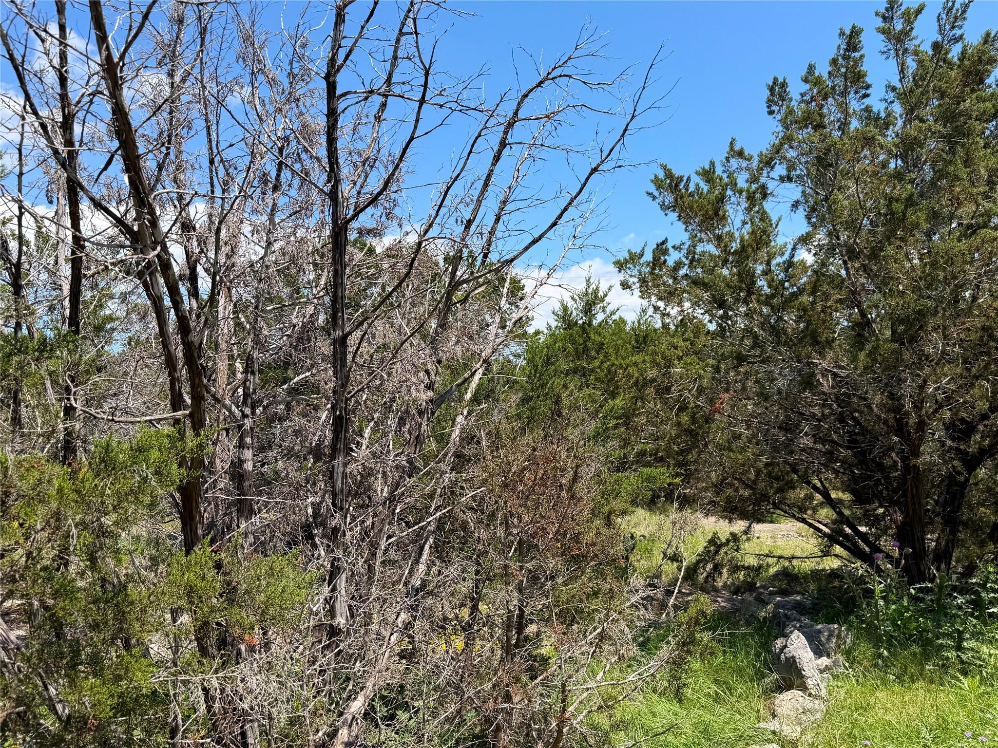 560 Hummingbird Hill Canyon Lake TX 78133