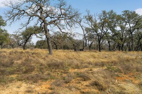 Lot 9 Silas Trail Fredericksburg TX 78624
