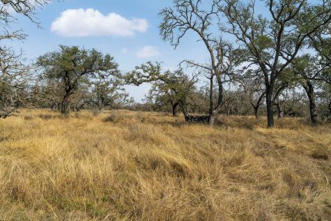 Lot 9 Silas Trail Fredericksburg TX 78624