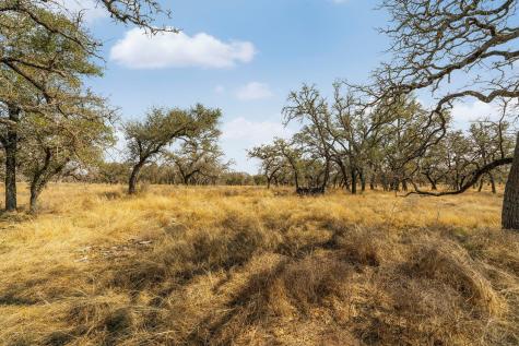 Lot 9 Silas Trail Fredericksburg TX 78624
