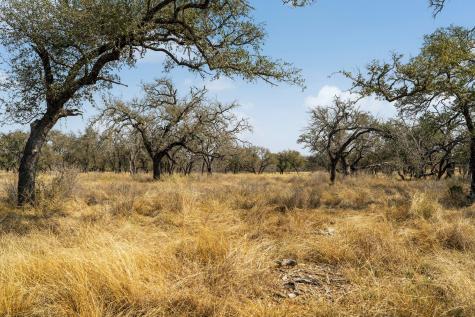 Lot 9 Silas Trail Fredericksburg TX 78624