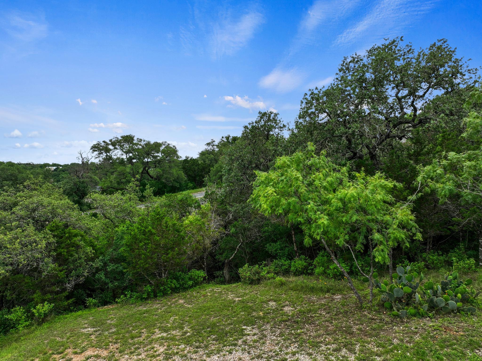 101 Center Cove II Loop Spicewood TX 78669