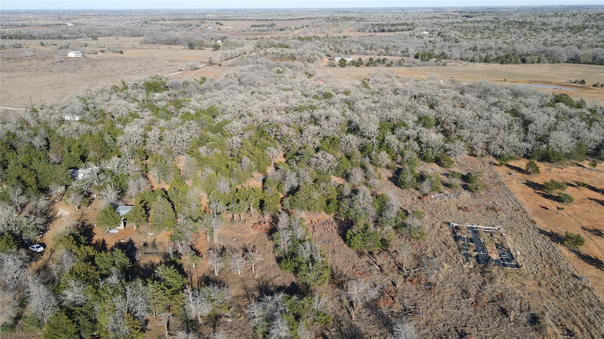 301 Longhorn Trail Paige TX 78659