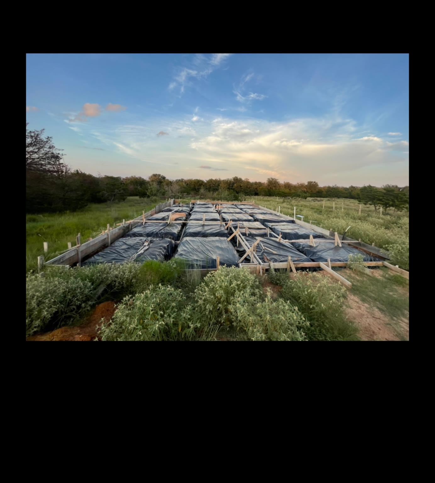 301 Longhorn Trail Paige TX 78659