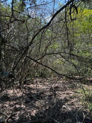 157 Lamaloa Lane Bastrop TX 78602