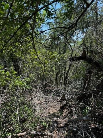 157 Lamaloa Lane Bastrop TX 78602