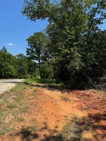 157 Lamaloa Lane Bastrop TX 78602