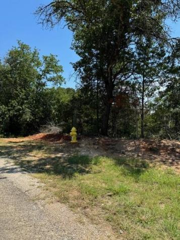 157 Lamaloa Lane Bastrop TX 78602