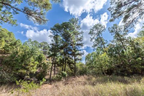 Lot 1447 Koae Court Bastrop TX 78602