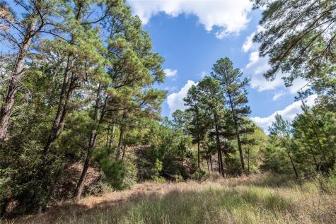 Lot 1447 Koae Court Bastrop TX 78602