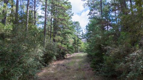 Lot 1447 Koae Court Bastrop TX 78602