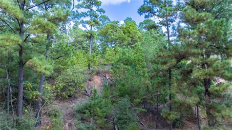 Lot 1447 Koae Court Bastrop TX 78602