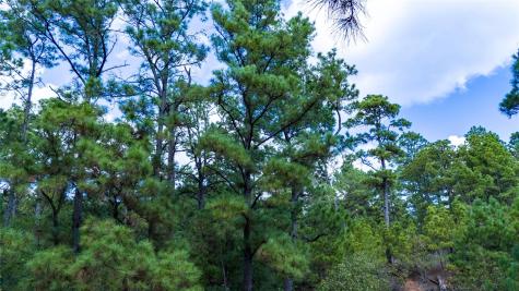 Lot 1447 Koae Court Bastrop TX 78602