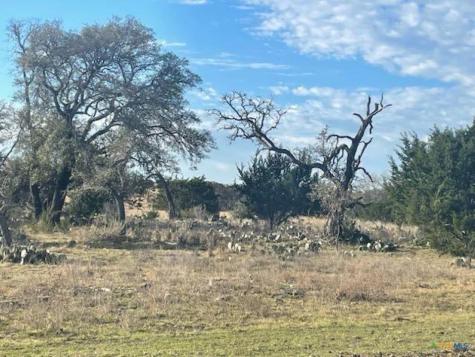 Lot 175 Heartleaf Drive Lampasas TX 76550