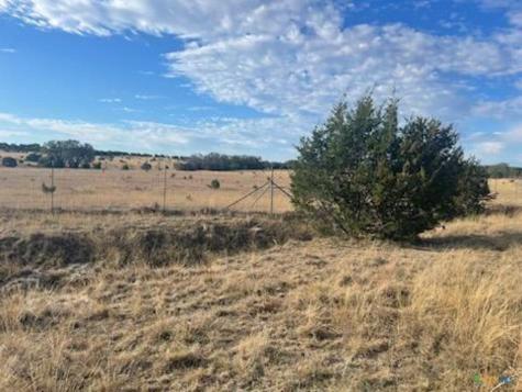 Lot 175 Heartleaf Drive Lampasas TX 76550