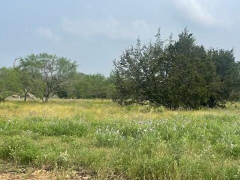 Lot 175 Heartleaf Drive Lampasas TX 76550