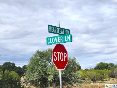 Lot 175 Heartleaf Drive Lampasas TX 76550