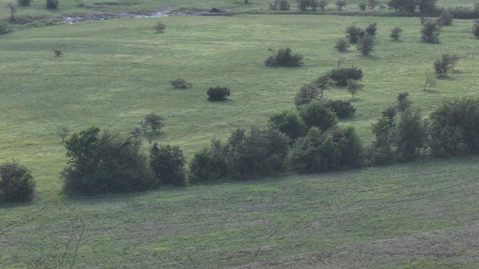 Tbd Block 2 Lot 3 Hackberry Road Salado TX 76571