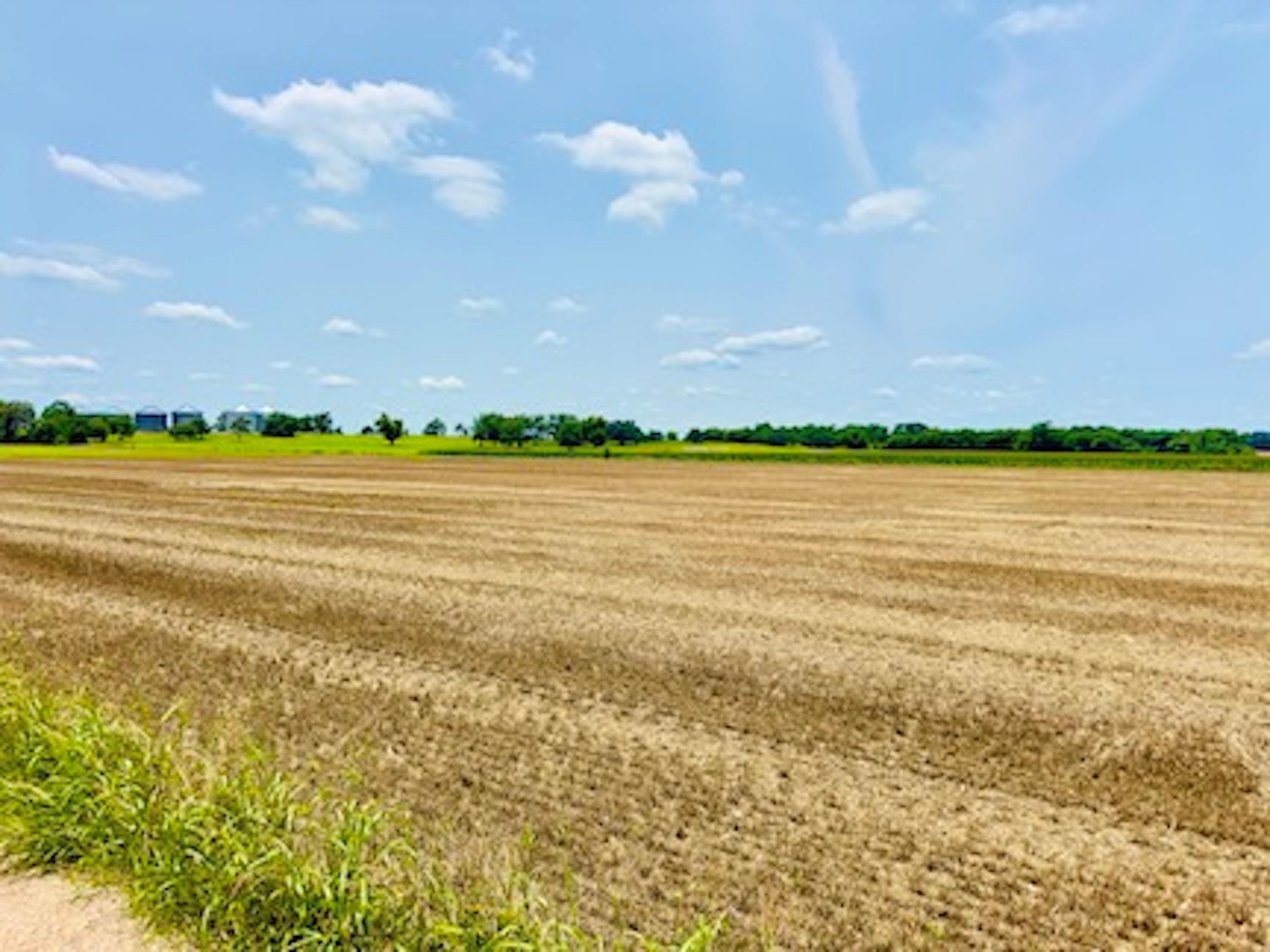 TBD1 Fm 406 Buckholts TX 76518