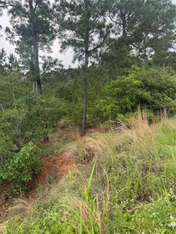 Lot 1614 Kaanapali Lane Bastrop TX 78602