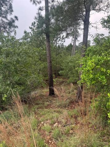 Lot 1614 Kaanapali Lane Bastrop TX 78602
