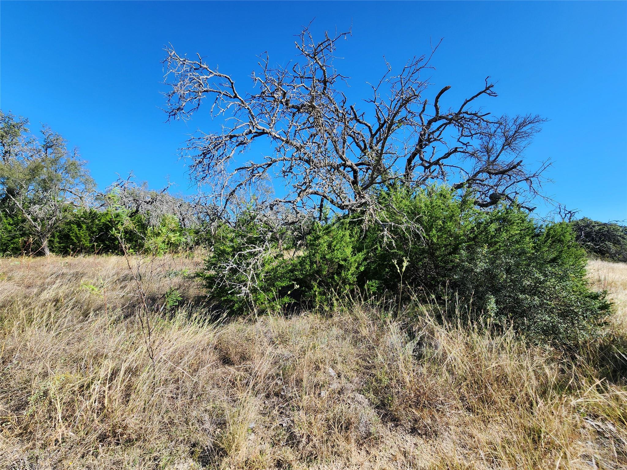 Lot 73 Shin Oak Drive Lampasas TX 76550