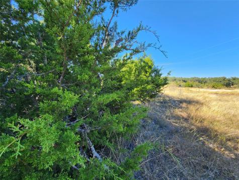 Lot 73 Shin Oak Drive Lampasas TX 76550