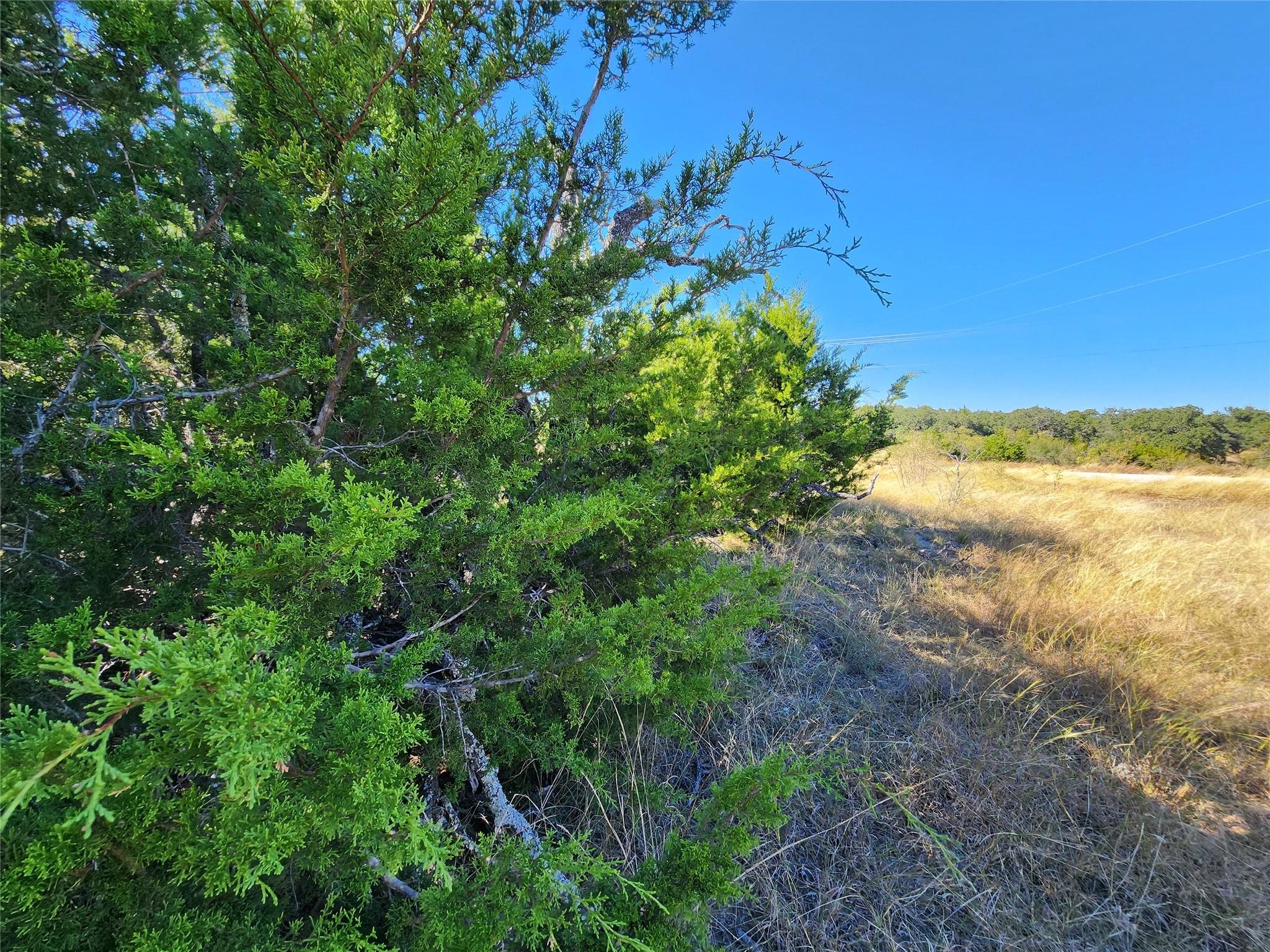 Lot 73 Shin Oak Drive Lampasas TX 76550