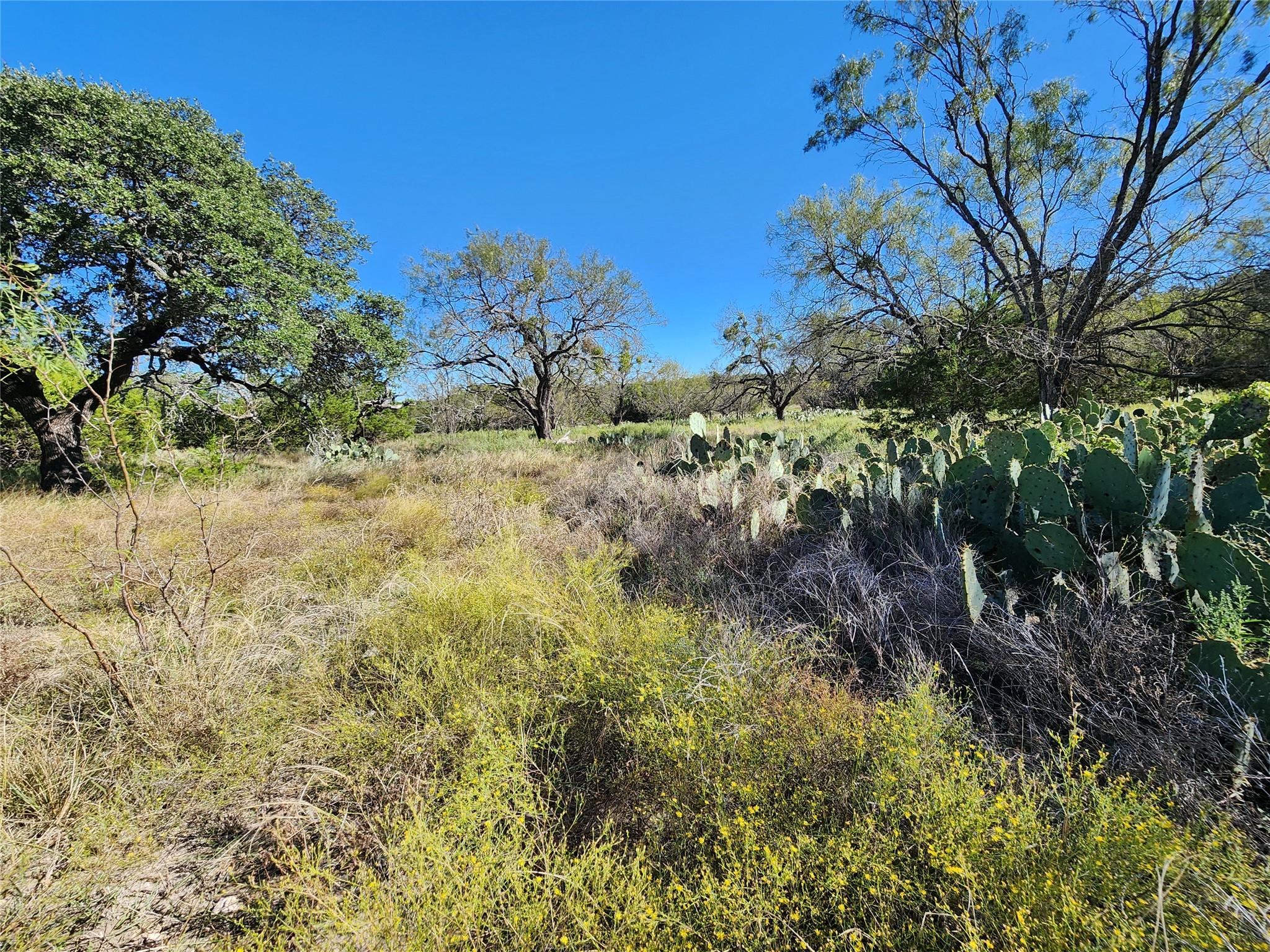 Lot 73 Shin Oak Drive Lampasas TX 76550