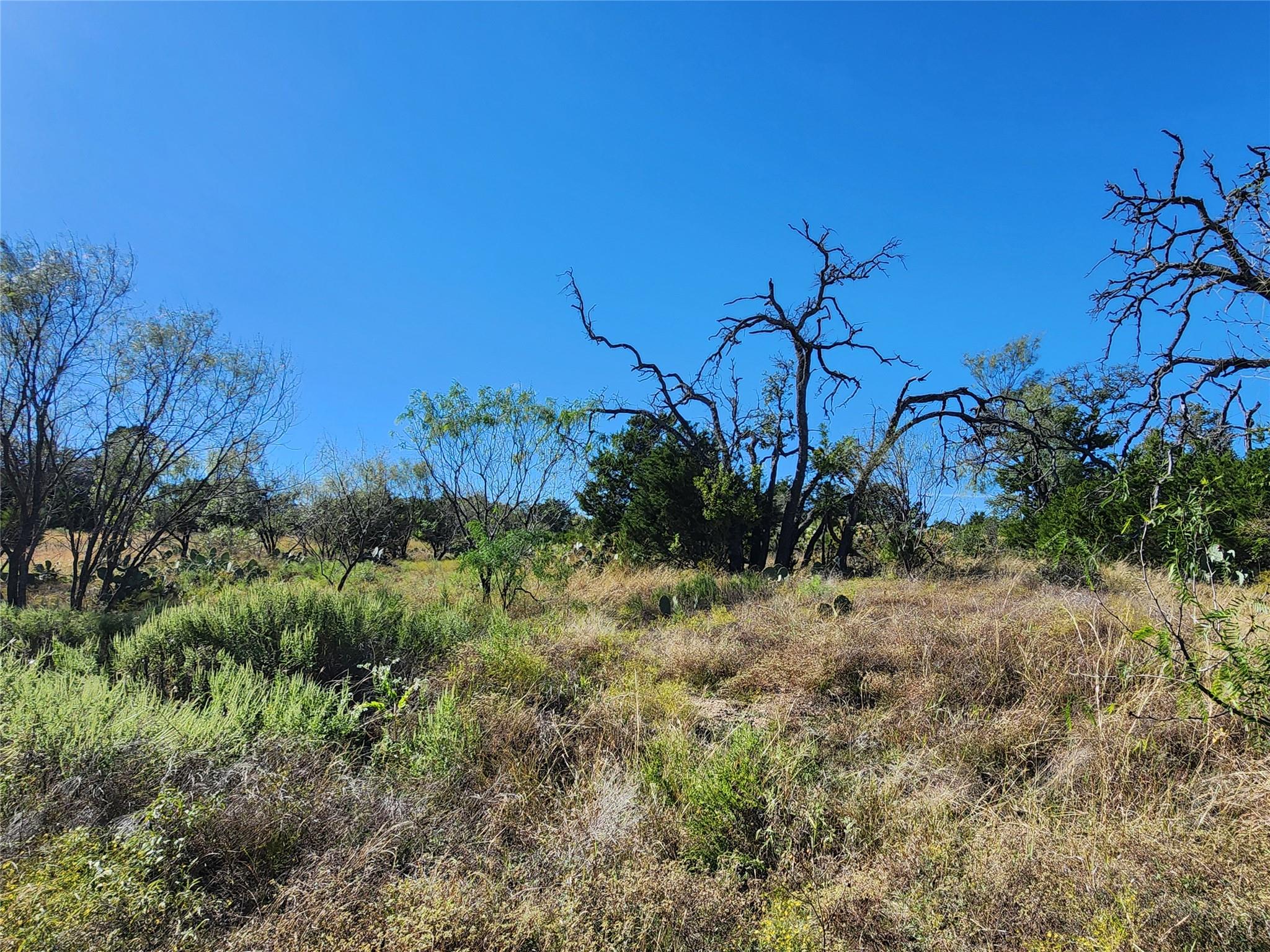 Lot 73 Shin Oak Drive Lampasas TX 76550
