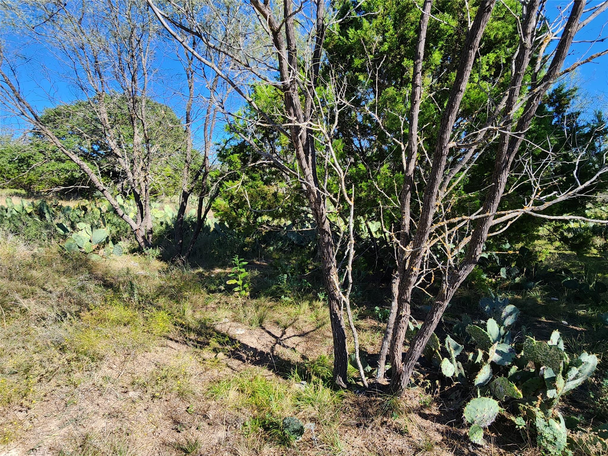 Lot 73 Shin Oak Drive Lampasas TX 76550