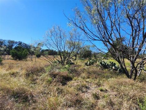 Lot 73 Shin Oak Drive Lampasas TX 76550
