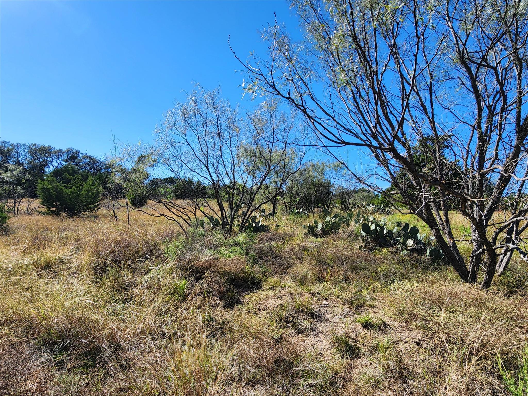 Lot 73 Shin Oak Drive Lampasas TX 76550