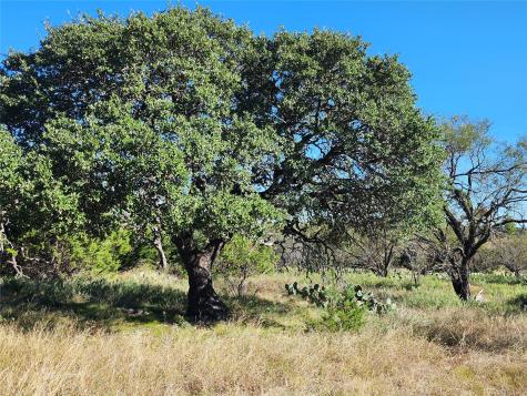 Lot 73 Shin Oak Drive Lampasas TX 76550