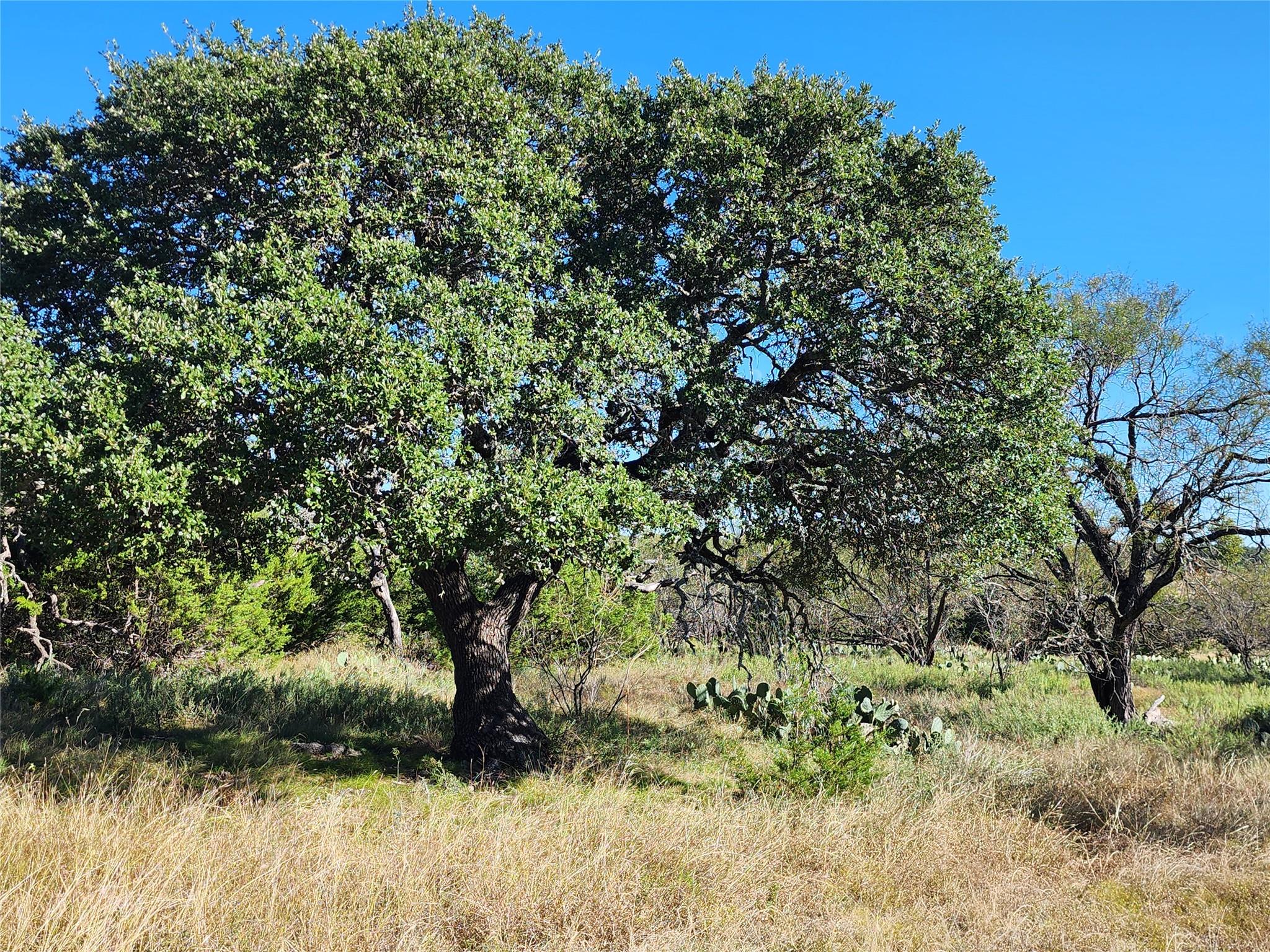 Lot 73 Shin Oak Drive Lampasas TX 76550